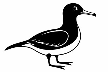shearwater line art silhouette vector illustration