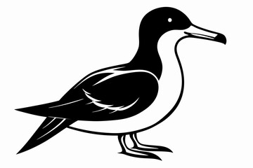 shearwater line art silhouette vector illustration