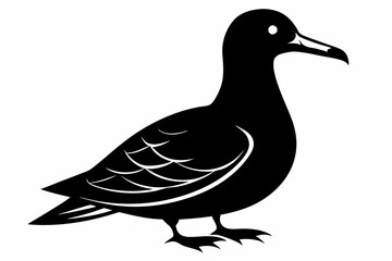 shearwater line art silhouette vector illustration