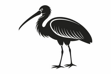 stork bird line art silhouette vector illustration