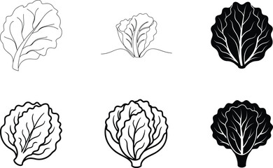 Lettuce Leaf Illustrations Line Art, Black, White, Vegetable Icons