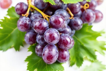 Fototapeta premium Close-up of fresh purple grapes with water droplets.