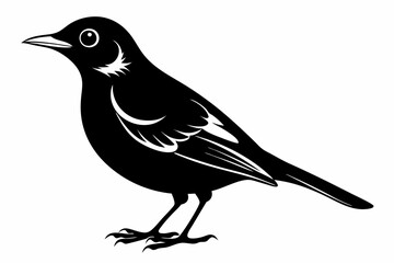 thrush bird line art silhouette vector illustration