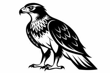 buzzard bird line art silhouette vector illustration