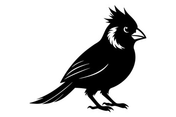 cardinal line art silhouette vector illustration