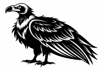 condor bird line art silhouette vector illustration