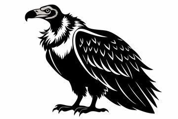 condor bird line art silhouette vector illustration