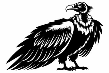 condor bird line art silhouette vector illustration