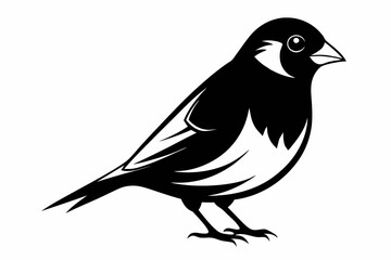 finch bird line art silhouette vector illustration
