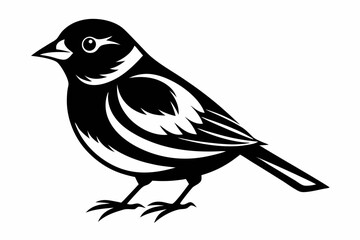 finch bird line art silhouette vector illustration