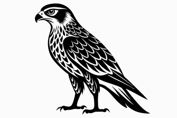 harrier bird line art silhouette vector illustration