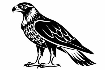 harrier bird line art silhouette vector illustration