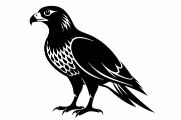 harrier bird line art silhouette vector illustration