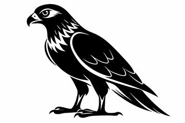 harrier bird line art silhouette vector illustration