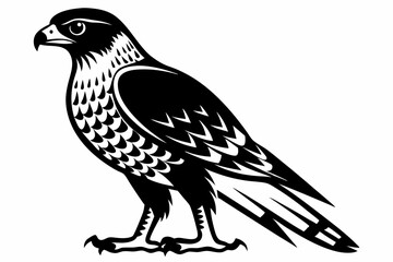 harrier bird line art silhouette vector illustration