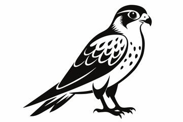 Fototapeta premium kestrel bird line art silhouette vector illustration