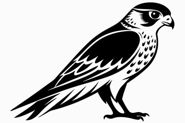kestrel bird line art silhouette vector illustration