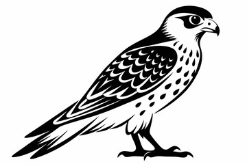 Fototapeta premium kestrel bird line art silhouette vector illustration