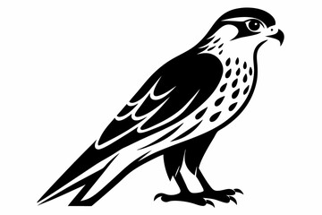 kestrel bird line art silhouette vector illustration