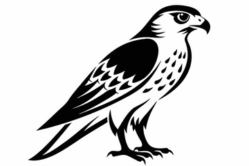 Fototapeta premium kestrel bird line art silhouette vector illustration