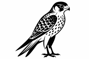 kestrel bird line art silhouette vector illustration