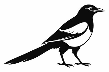 magpie line art silhouette vector illustration