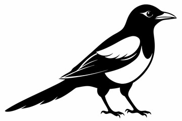 magpie line art silhouette vector illustration