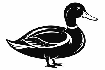 mallard duck line art silhouette vector illustration