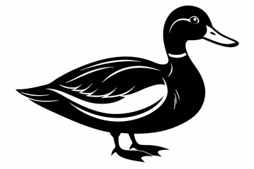 mallard duck line art silhouette vector illustration