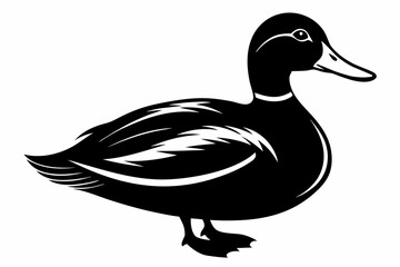 mallard duck line art silhouette vector illustration