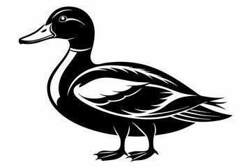 mallard duck line art silhouette vector illustration