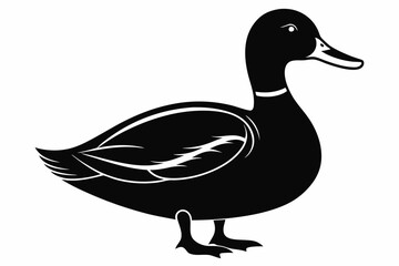 mallard duck line art silhouette vector illustration