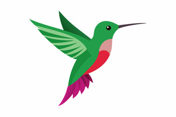 Obraz premium Calliope Hummingbird Creative Vector Design