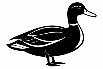 mallard duck line art silhouette vector illustration