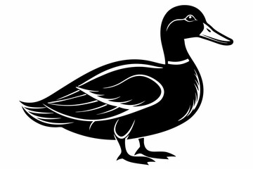 mallard duck line art silhouette vector illustration