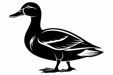 mallard duck line art silhouette vector illustration
