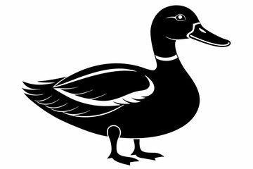 mallard duck line art silhouette vector illustration