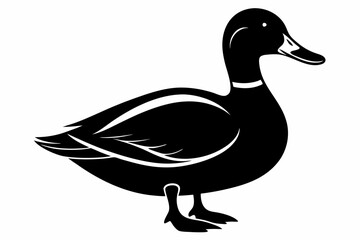 mallard duck line art silhouette vector illustration
