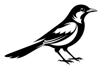 mockingbird line art silhouette vector illustration