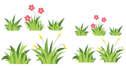 spring flowers and grass