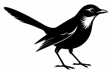 Fototapeta premium mockingbird line art silhouette vector illustration