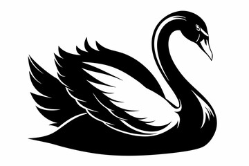 mute swan line art silhouette vector illustration