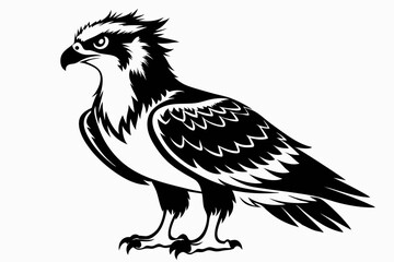 Fototapeta premium osprey bird line art silhouette vector illustration