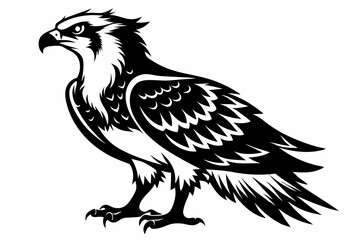 osprey bird line art silhouette vector illustration