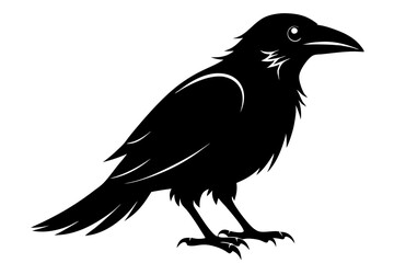 raven line art silhouette vector illustration