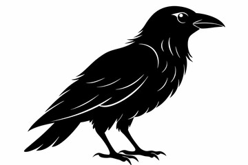 raven line art silhouette vector illustration