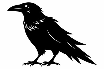 raven line art silhouette vector illustration