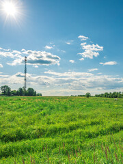 Field of grass with a tall tower in the background