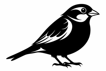 sparrow line art silhouette vector illustration