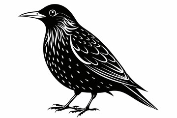 starling  bird line art silhouette vector illustration